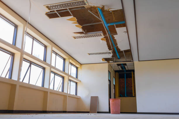 Best Mold removal after water damage  in Orland Park, IL