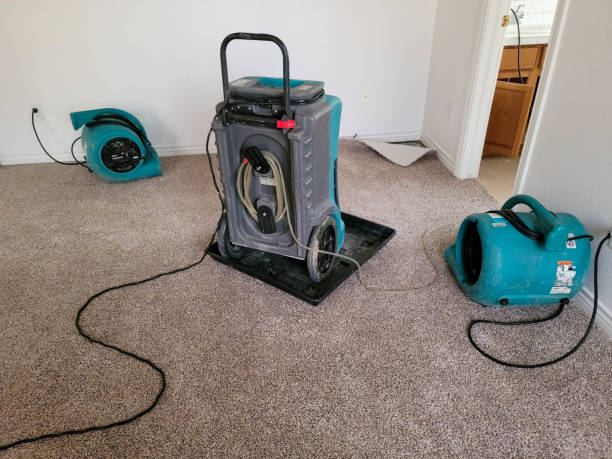 Best Water damage restoration experts  in Orland Park, IL