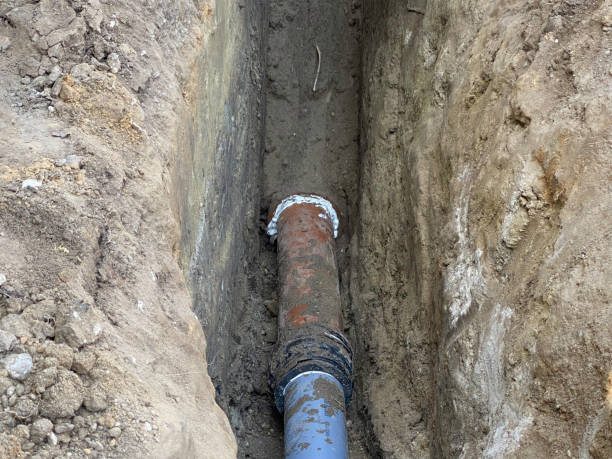 Best Local water damage restoration  in Orland Park, IL