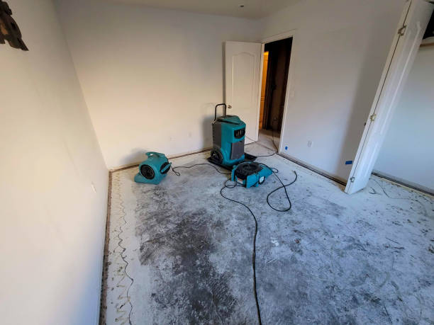 24/7 water damage repair in Orland Park, IL