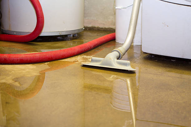 Best 24-hour water damage restoration  in Orland Park, IL