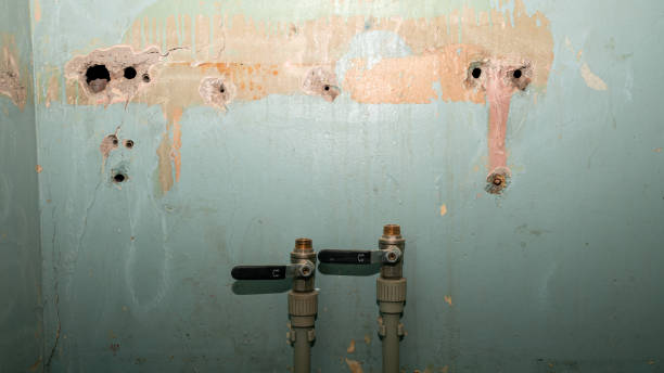 Reliable Orland Park, IL Water damage restoration Solutions
