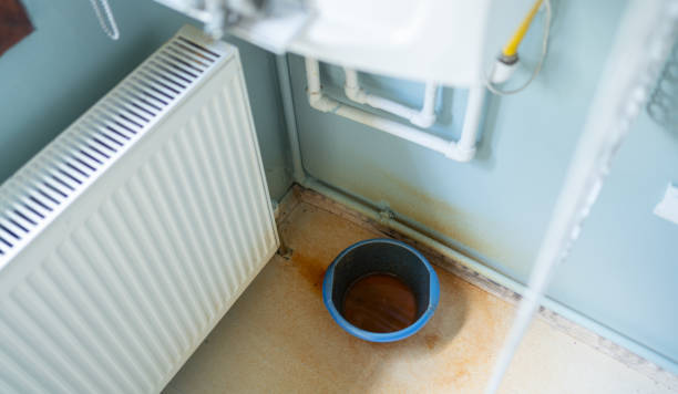Best Water damage cleanup near me  in Orland Park, IL