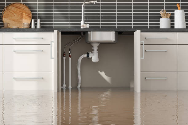 Best Professional water damage repair  in Orland Park, IL